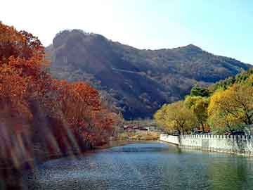 新澳门二四六天天彩，火车客流高峰